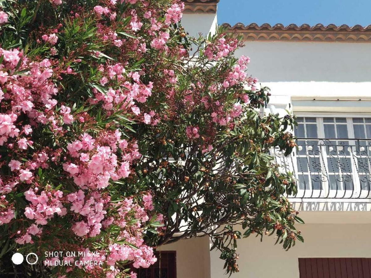 Ferienwohnung Les Lauriers Roses Narbonne Exterior foto